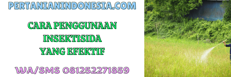 cara,penggunaan,pestisida jenis insektisida,hama,pertanian indonesia